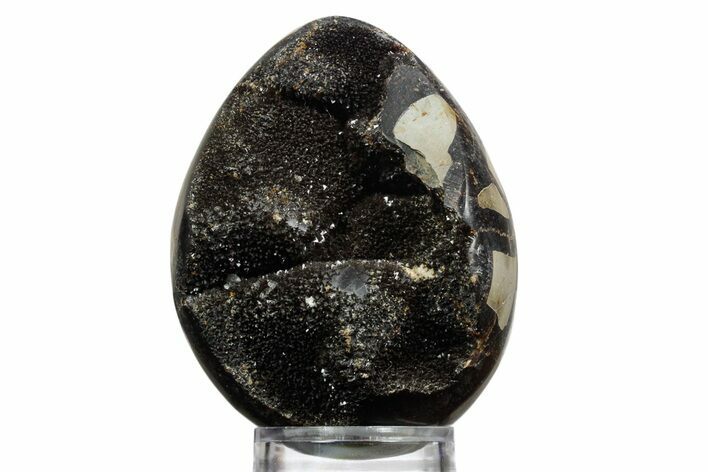 Septarian Dragon Egg Geode - Sparkly Black Crystals #356147
